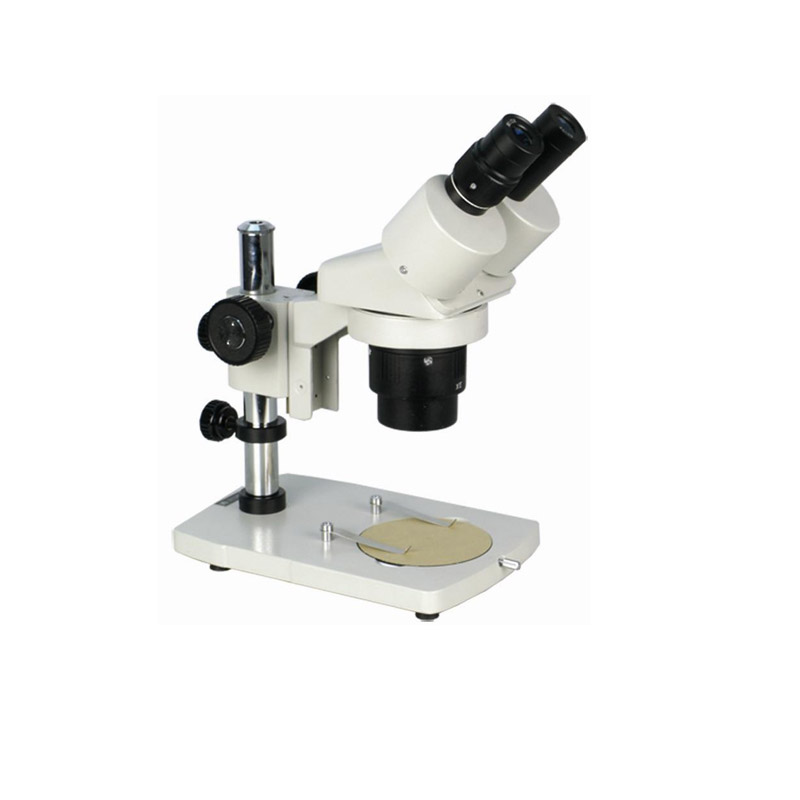 显微镜价格：体视显微镜的特点和成像功能